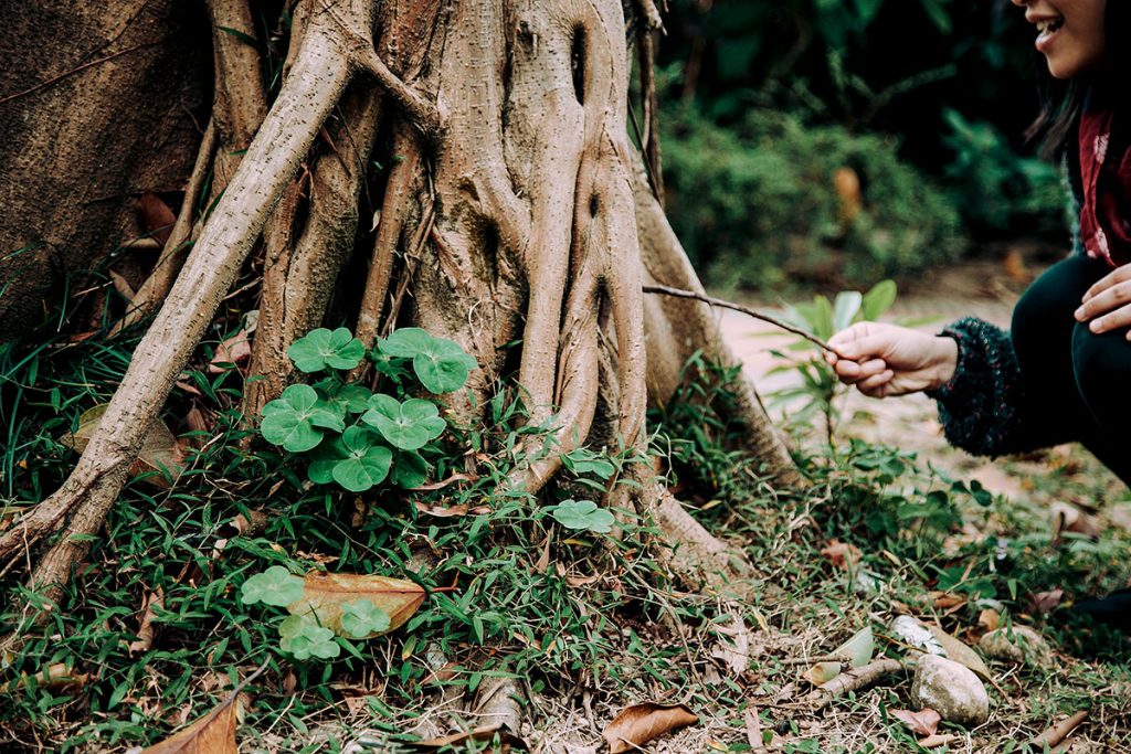 * 以另一個方式觀察螞蟻,就如拿了前所未見的萬花筒一樣,發現不一樣的生命力量。*