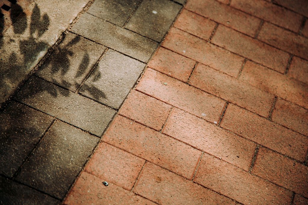 感受人與自然共生共癒