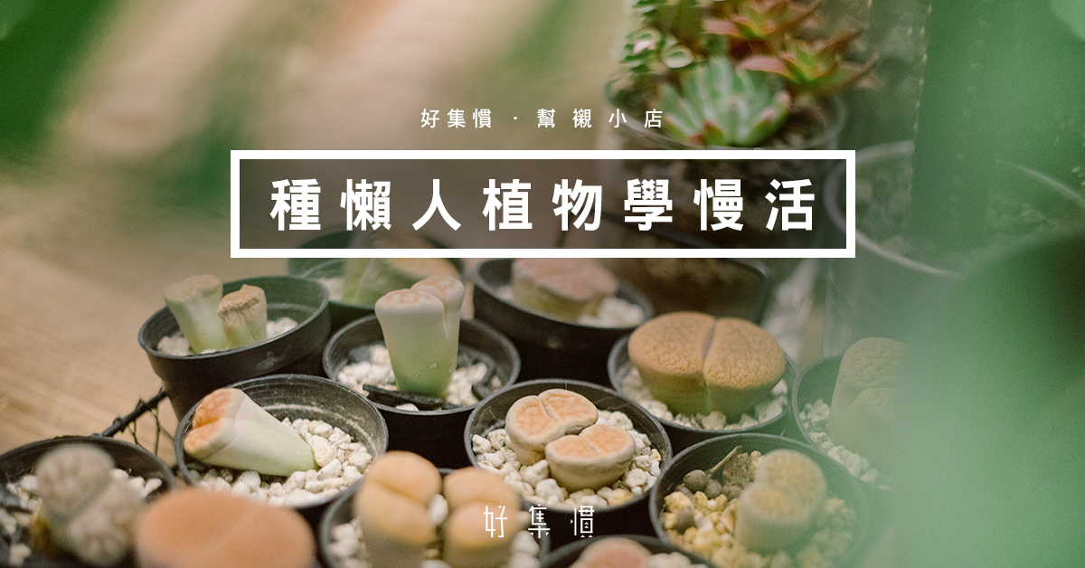 Green Egg Store 種懶人植物學懂慢活 Betterme Magazine